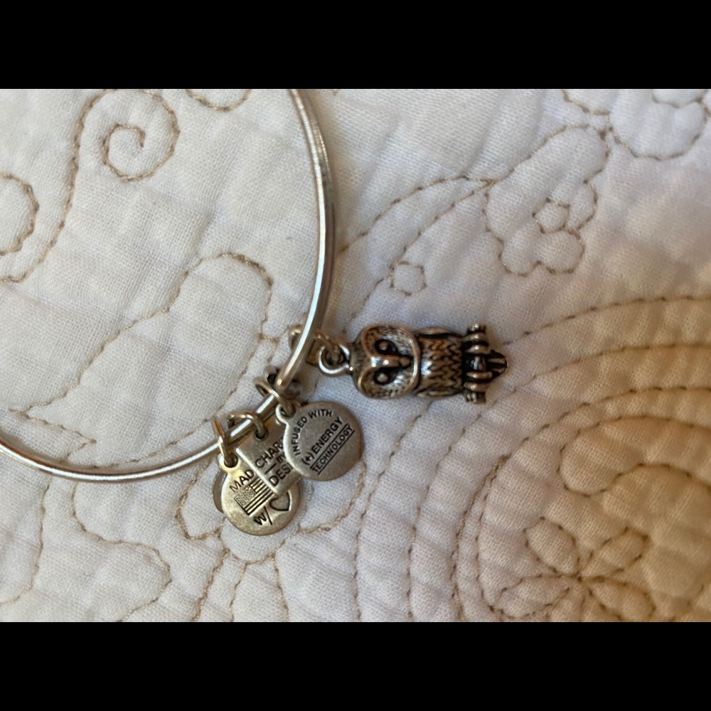 ALEX AND ANI Silver Wise Owl Charm Bracelet